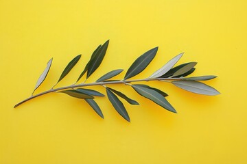 Canvas Print - a leaf on a yellow background