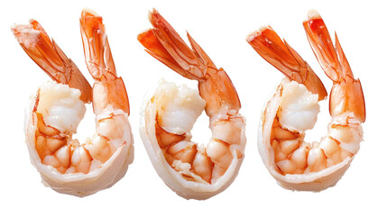 Poster - Cooked Shrimp Collection Displayed on a Clean White Background Generative AI
