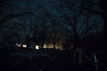 Wall Mural - old house with a ghost in the forest at misty night or night scene with house under moon. old mystic