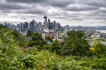 Seattle Rain