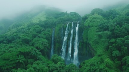 Wall Mural - Serene Waterfall in Lush Green Jungle Landscape