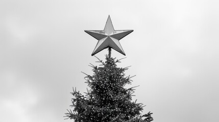 Aufkleber - Minimalistic line art depicting a Christmas star perched atop a festive tree perfect for seasonal celebrations and decor ideas