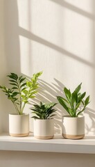 Three vibrant houseplants in stylish pots on a sunlit shelf.