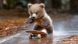 © KDance - Grizzly Bear Riding Skateboard on Dirt Path