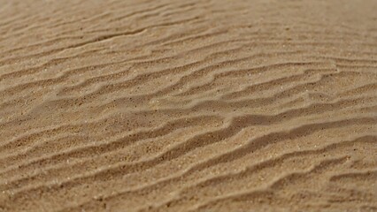  abstract illustration vector textured background showcasing an expansive view of sand dunes, capturing the intricate patterns and textures of the sand