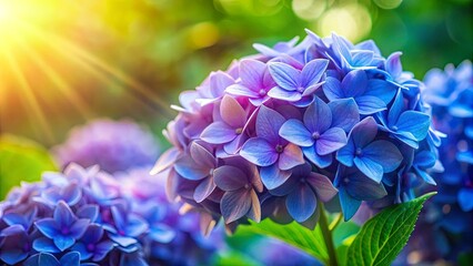 Sticker - Sunlit Blooms of Delicate Blue and Purple Petals, a Symphony of Nature's Elegance