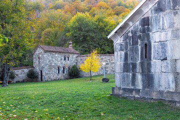 Monastery courtyard. Stone wall of the church, tree with golden leaves, green grass. Building and autumn forest in the background