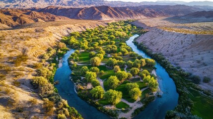 Poster - Aerial view of a lush green oasis surrounded by arid mountains and a winding river.