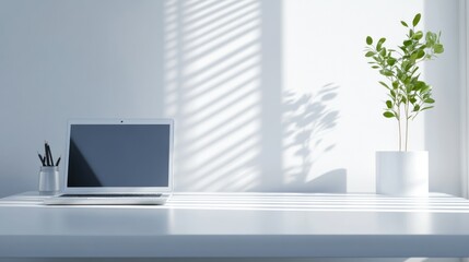 Poster - Minimalist White Desk with Laptop, Plant, and Pencil Holder in Sunlight