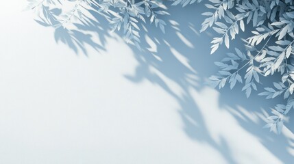 Naklejka na meble A serene composition of light blue background with delicate leaves casting shadows.