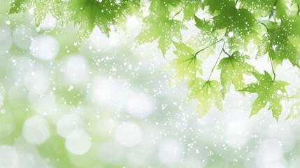 Canvas Print - A serene image featuring green leaves and soft bokeh effects, evoking tranquility and nature.