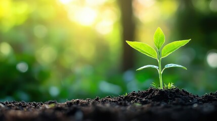Poster - Success Stories in Ethical Investing: Highlight success stories of companies that have thrived through ethical investing.