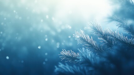 Sticker - A serene winter scene featuring frosty pine branches and a soft, snowy background.