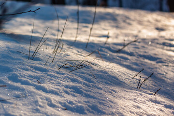 dry grass is covered with snow.