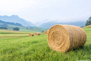 Scenic rural landscape with hay bales under misty mountains capturing the tranquil essence of nature's beauty and agriculture's richness