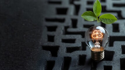 Poster - A single light bulb illuminating a complex maze symbolizing the power of innovation creativity and problem solving to find solutions and succeed in the face of challenges