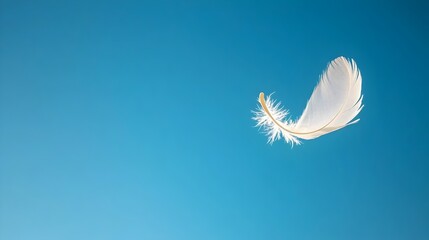 Aufkleber - Delicate Bird Feather Floating Elegantly in the Air Symbolizing the Lightness Freedom and Hope that Inspires the Human Spirit