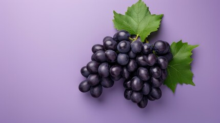 Bountiful Black Wine and Kyoho Grapes: Vibrant Isolation on Purple Background with Clipping Path in