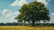 © shan - An isolated oak tree in a field.