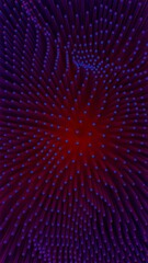 Poster - Red and Blue Abstract Radiating Light Pattern