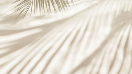 Poster - Elegant Shadows of Tropical Leaves on Light Background