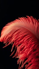 Canvas Print - Single bright red feather is standing out on a black background. The image evokes feelings of individuality, softness and fragility