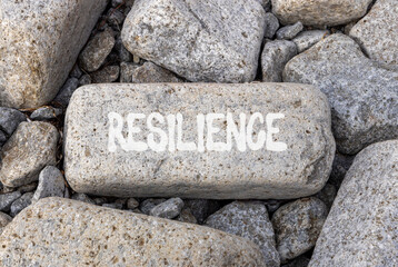 Resilience symbol. Concept word Resilience on beautiful grey volcanic stone. Beautiful grey volcanic stones background. Business resilience concept. Copy space.