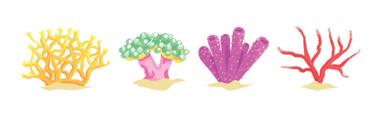 Poster - Colorful Coral and Sea Bottom Plant Vector Set