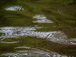 A beautiful background image: In the dance of the drops: The Amazon in the rhythm of the rain.