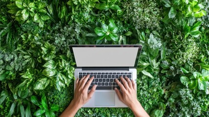 Sticker - Man's hands typing on laptop computer in a room with indoor green flowers. White blank mock up empty screen display for business websites or services ads. Mock up. Copy space