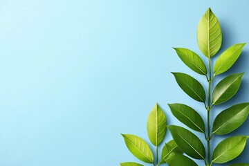 Poster - Fresh green leaves on a soft blue background, creating a vibrant and calming natural aesthetic for design and decor projects.