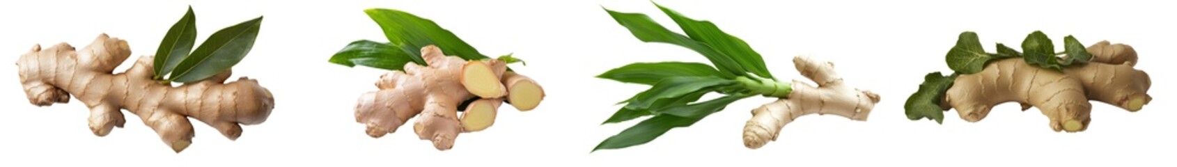 Poster - The ginger plant with leaves is isolated on a transparent background