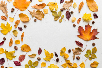 Wall Mural - autumn composition made of dried leaves, cones and acorns on table. flat lay, top view, copy space
