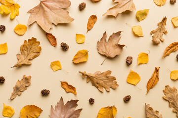 Wall Mural - autumn composition. pattern made of dried leaves and other design accessories on table. flat lay, to