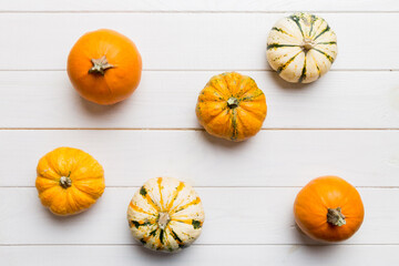 Wall Mural - autumn composition of little orange pumpkins on colored table background. fall, halloween and thanks