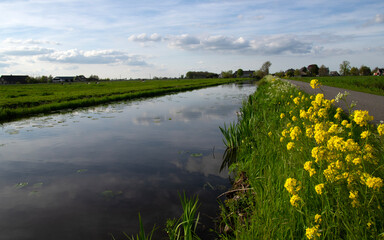 Wall Mural - landscape green meadow and canal with clear water