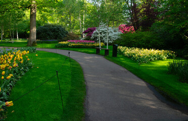 Wall Mural - garden stone path in a botanical garden