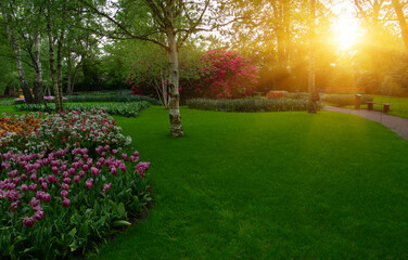 Wall Mural - spring flower park in the sunlight