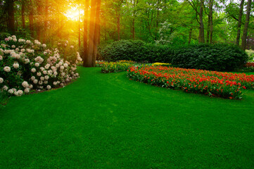 Wall Mural - spring flower park in the sunlight