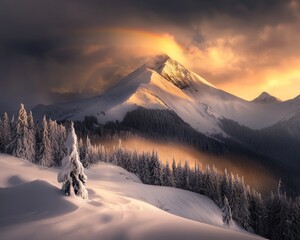 Poster - Winter landscape in Crimea with snow and cold, Russia.