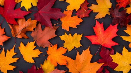 Poster - Vibrant and Colorful Autumn Leaves Scattered on the Ground Capturing the Essence of the Picturesque Fall Season