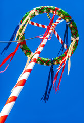 Wall Mural - typical bavarian maypole in front of blue sky