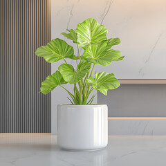 Lush green plant in a modern white pot