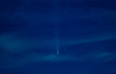 Wall Mural - the comet on october 16, 2024. picture taken from (or in) thailand. blur focus.