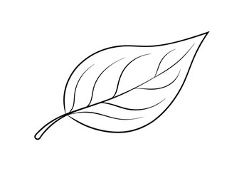 Continuous Line Art of a Leaf – Minimalist Nature Vector Illustration
