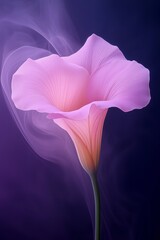 soft pink flower blooms in slow motion surrounded by a swirling mist against a midnight purple backd