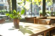 © Natalia - Cozy rustic cafe with leather chairs and plants, offering a warm autumn atmosphere in natural light