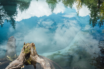 Serene lake with a partially submerged tree trunk reflecting the sky and clouds, creating a peaceful and beautiful natural scene