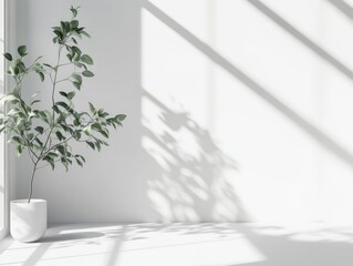 Canvas Print - White Vase with Plant