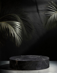 Wall Mural - abstract studio black background for product presentation. empty room with shadows of window and flo